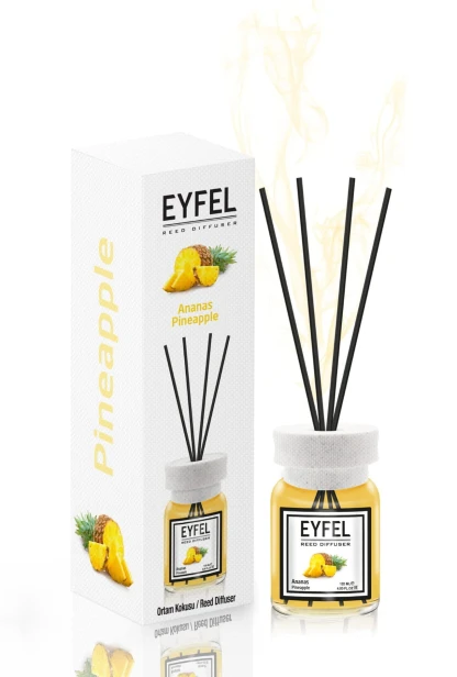 aNANAS 1.jpg