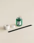 algi morskie 3.webp