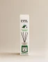 algi morskie 4.webp