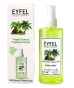 TROPICAL-FOREST.webp