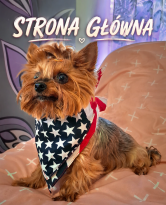 SKLEPY EMI - strona główna